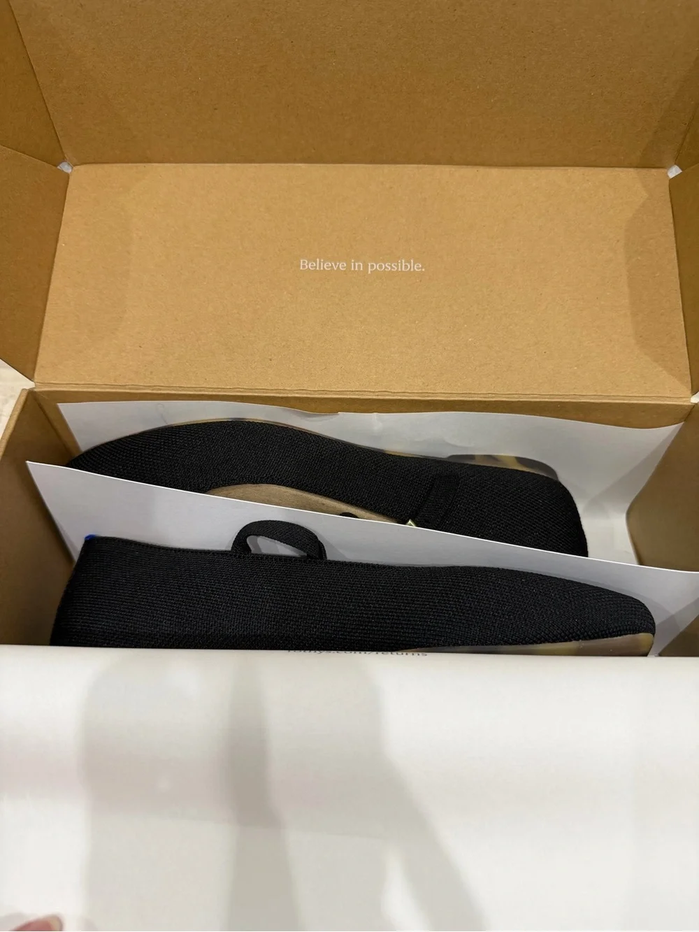 Rothys T-Strap Mary Jane’s ballet flat